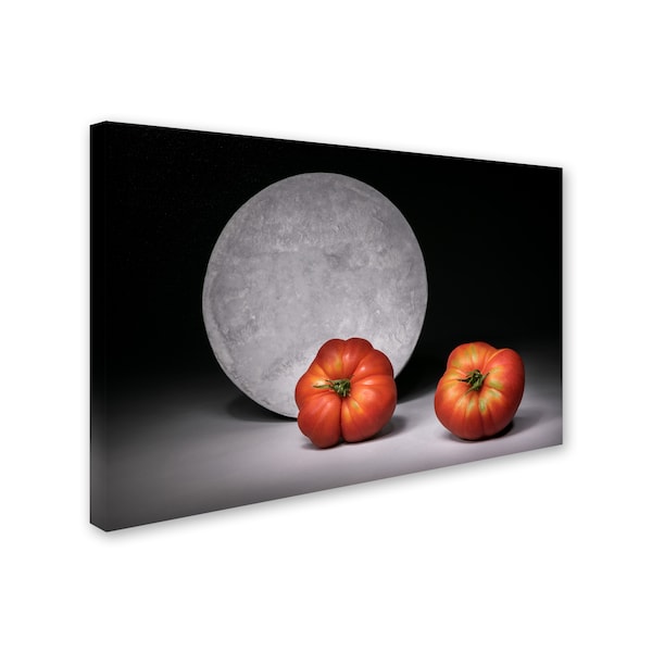 Christophe Verot 'Full Moon' Canvas Art,16x24